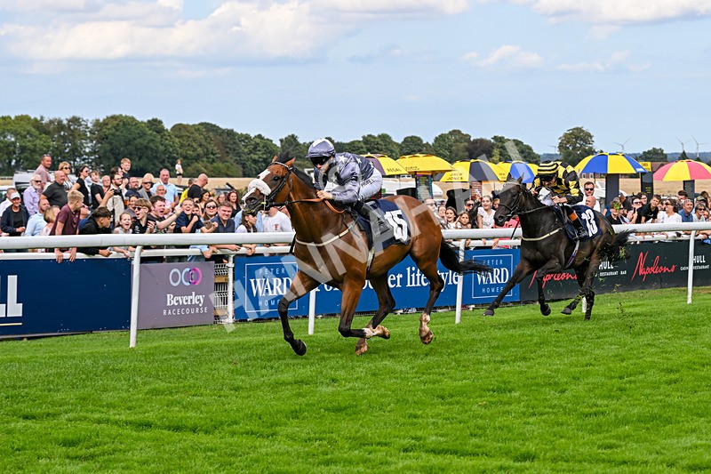 300826-Race 5-Harb-1122 - Race 5 3.55pm Constant Security Handicap