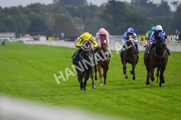 100923-Race 4-Tropical Island-0750 - Race 4 3.15pm Edge Windows Nursery Handicap at York