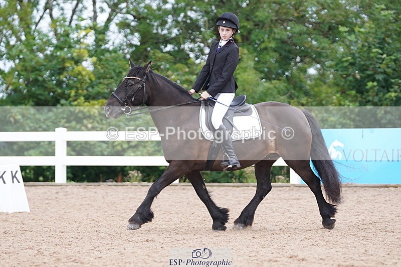 240809A-095336-00352 - Dressage Competition