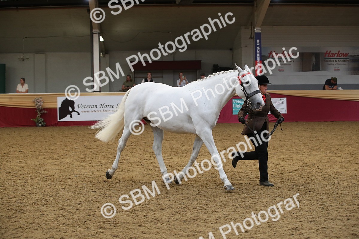 SBM_05718 - Class 9R - Regional IH Pre-Vet