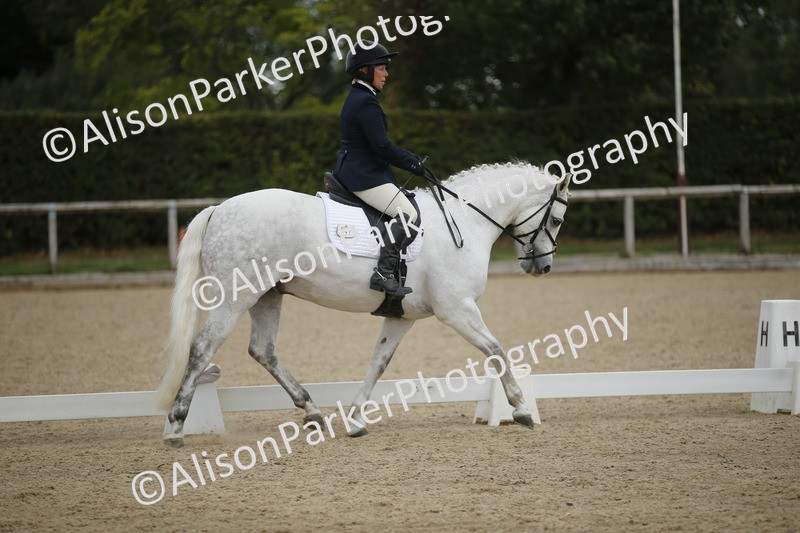 20260913-0275 - Class 3 - Novice 5