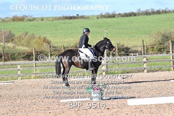 BPP_9514 - SHORT ARENA PRELIM 3