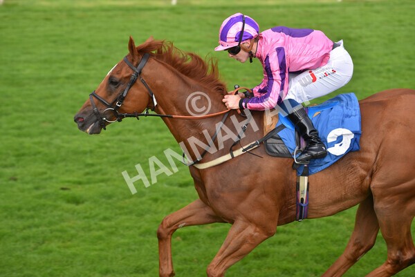 yr23072021r2-34 - Race 2 6.30pm IRE-Incentive It Pays To Buy Irish Stakes