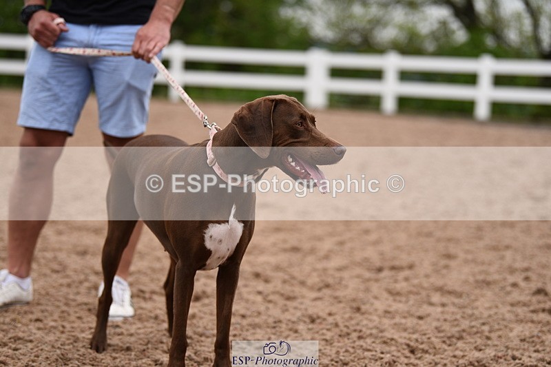 240518A-122356-01150 - Cls 4 Best Crossbred