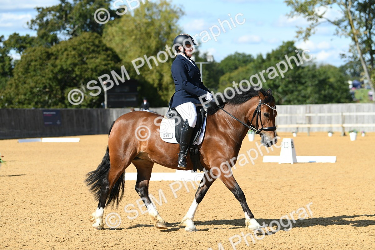 SBM_25054 - D13 - Grand Tour Championship - Prelim 12