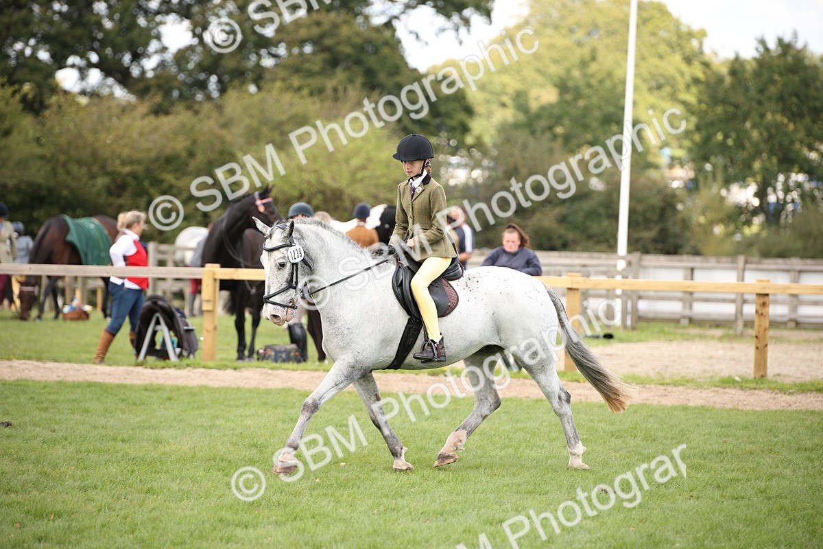 SBM_42299 - S13 - Pony Club Pony