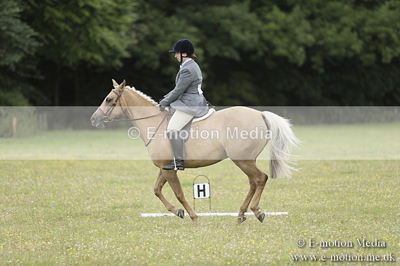 BVR160717-1193 - Class 2 Dressage 16/07/17