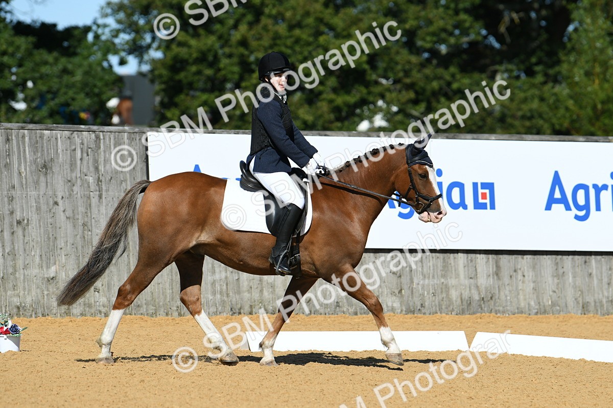 SBM_18125 - D4 - Small Tour Championship - Intro B