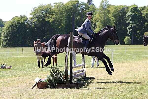 IMG_4008 - Working Hunter