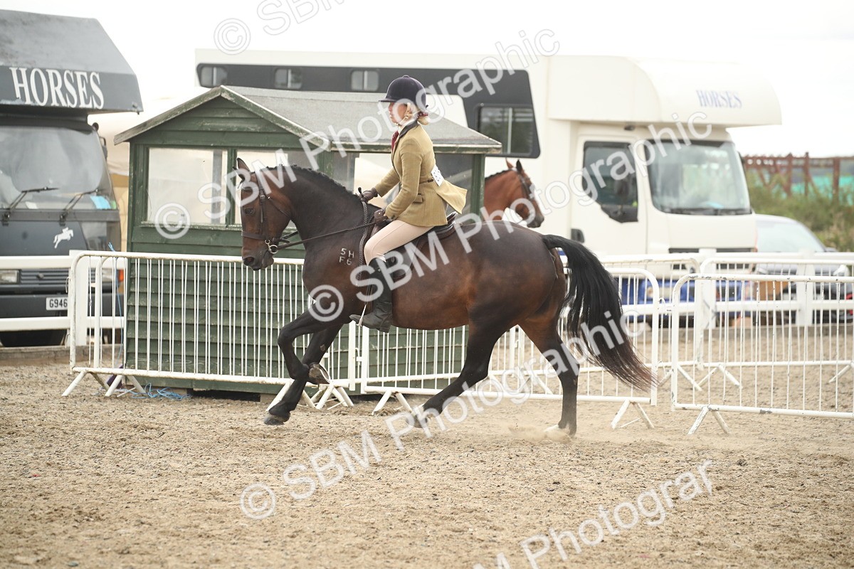 SBM_18401 - Class 509B - Working Veteran - 80cm (20+)