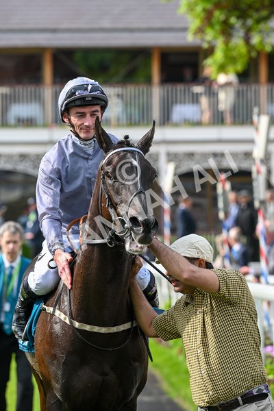160524-Race 6-Andesite-6773 - Race 6 4.45pm Frank Whittle Partnership ebfstallions.com Novice Stakes