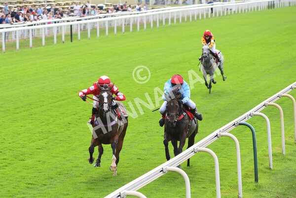 yr04092022p1-51 - 12.30pm 148cm Conditions Pony Race