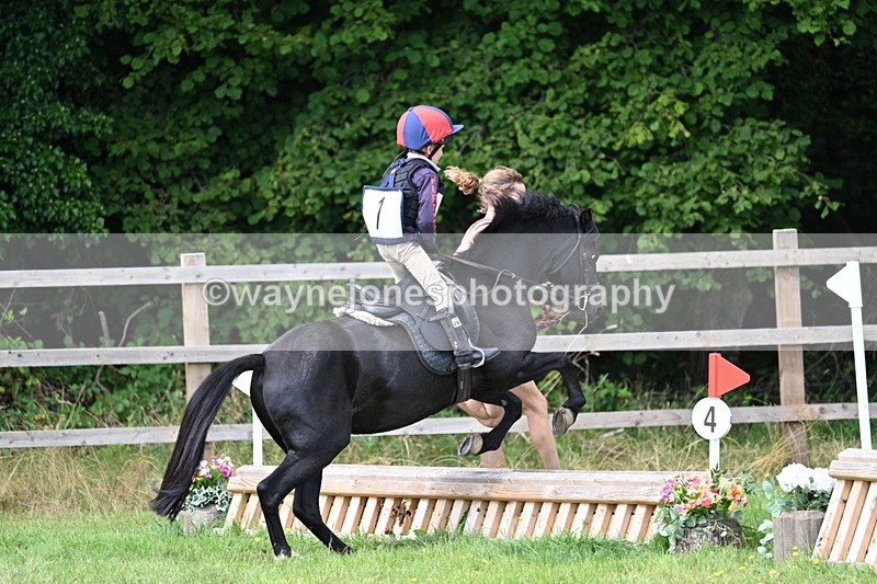 WJ7_0942 - 40cm Time 11:28 to 11:53