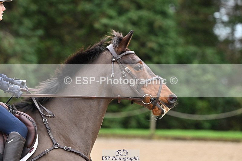 250201A-113419-00451 - Cls 02 Local Horse 100cm