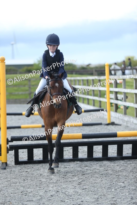 20260412-1790 - Show Jumping