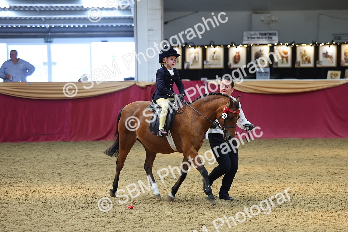 SBM_23997 - Class 905 - Supreme Final - Ridden Veteran