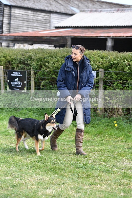 WJ5_0762 - Best in Show Championship