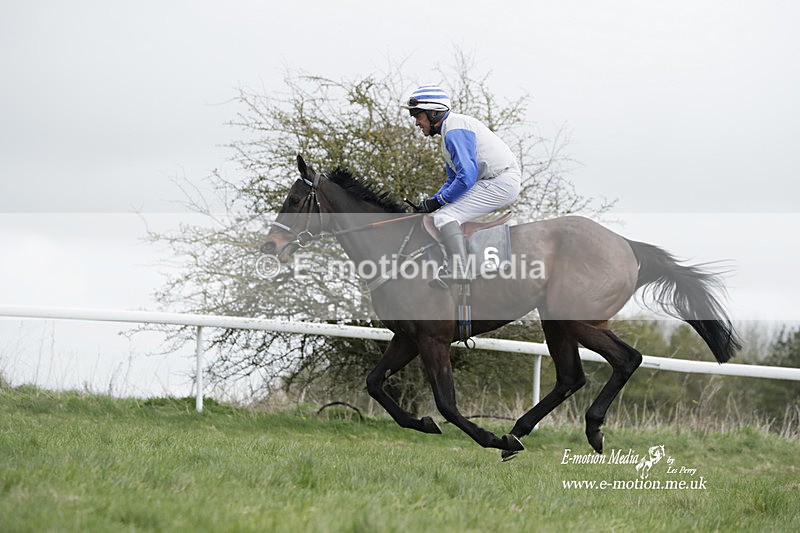 PtP 260323 0681 - New Forest Hounds Point-to-Point Larkhill 26/03/23