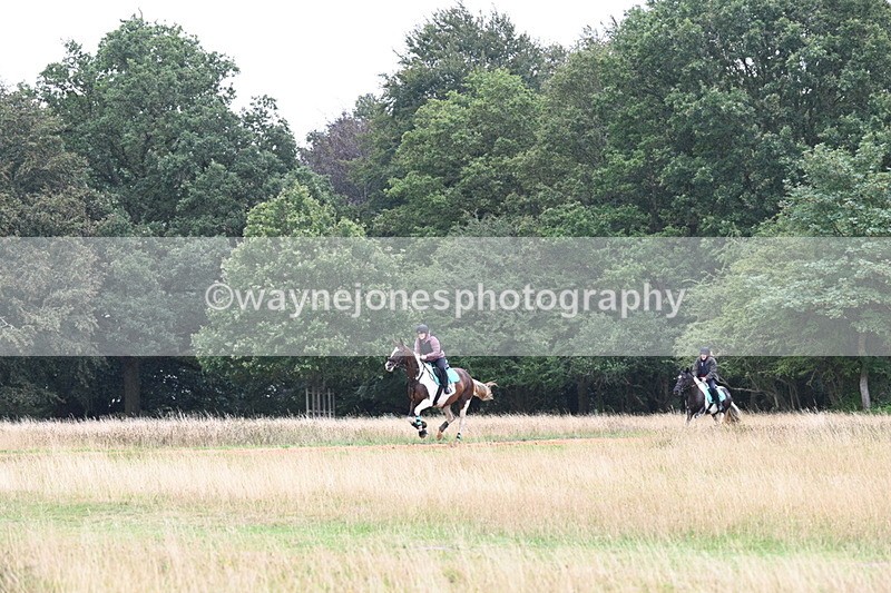 DSC_0614 - Time at Statue 10:58 to 11:53