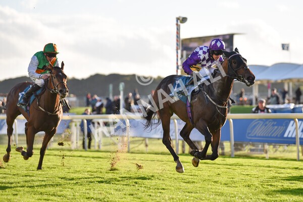 yr07102022r6-32 - Race 6 5.00pm William Hill Lengthen Your Odds EBF Novice Stakes