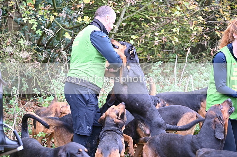 WJ6_8518 - Meet