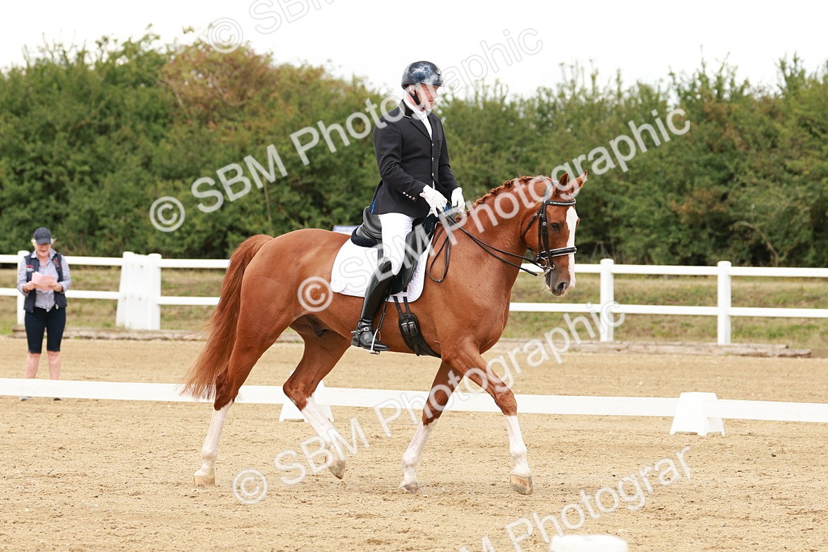 SBM_002000 - Class 8 - Elementary 6