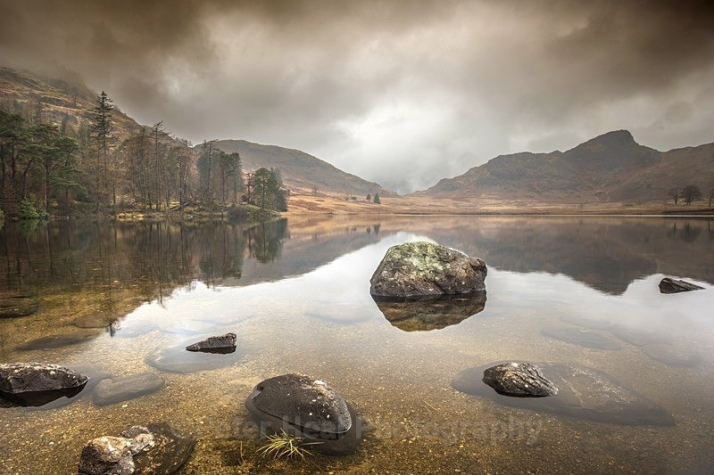 PHEA4849_Blea Tarn - Latest Additions
