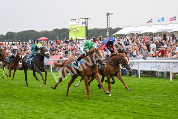 250725-Race 5-Sand Gazelle-6047 - Race 5 7.48pm British EBF Lyric Fillies' Stakes