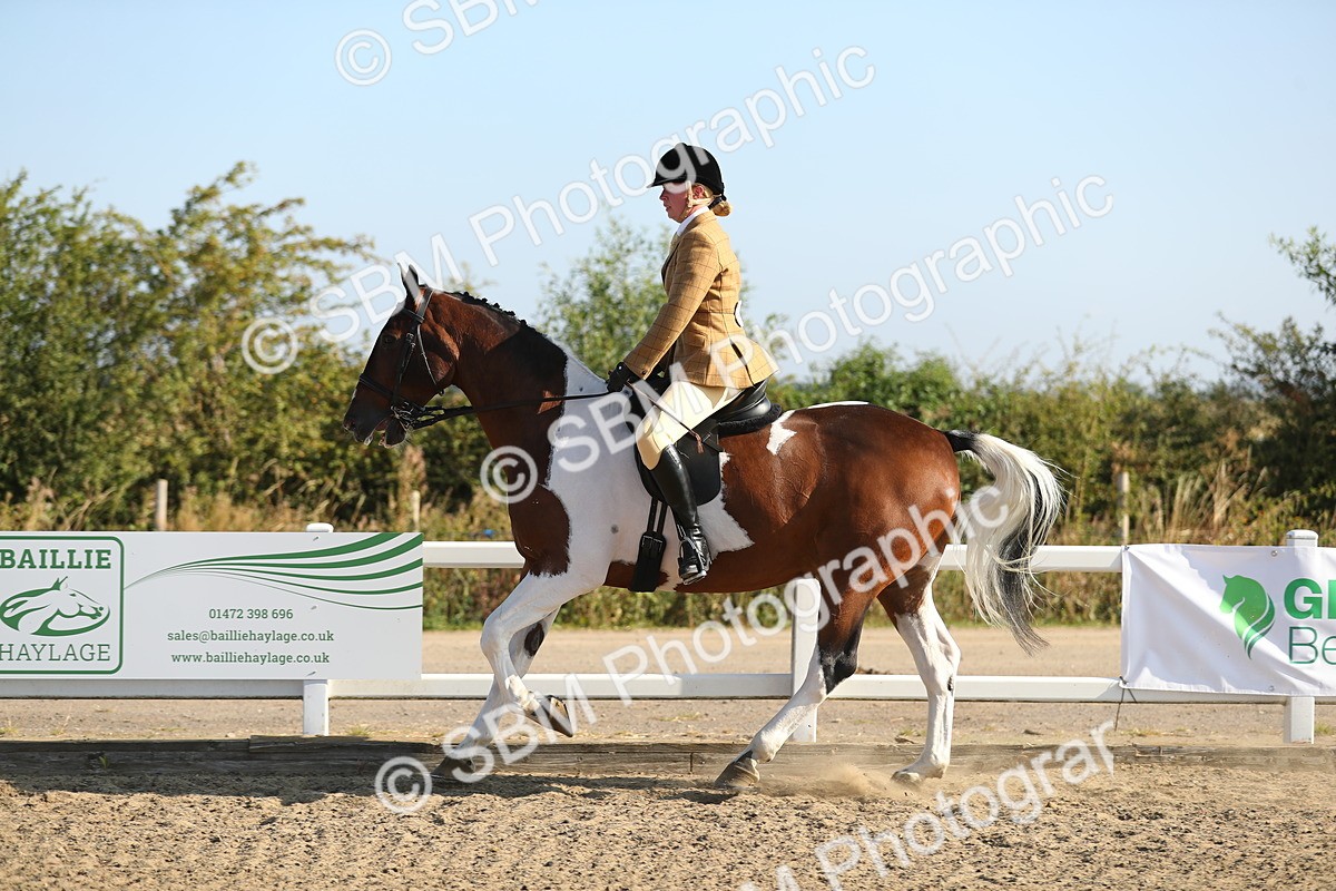 SBM_01149 - Class 42 Ridden Veteran