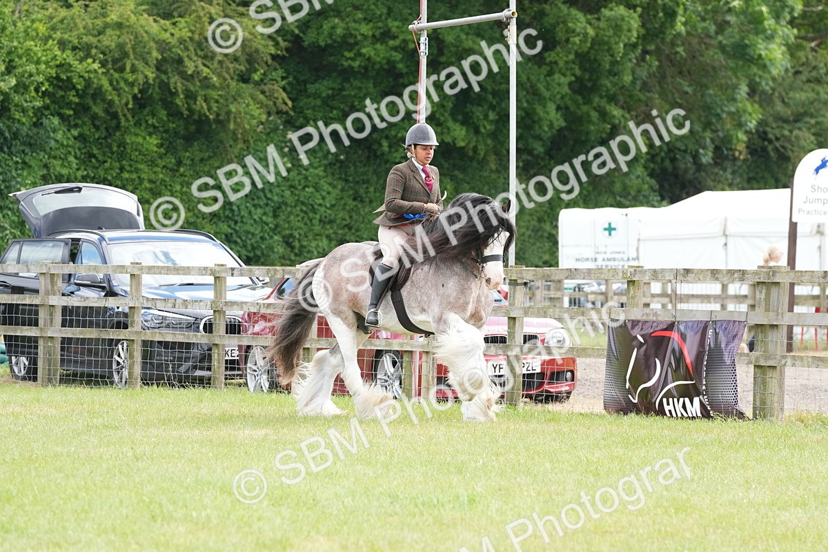 SBM_17350 - Class 107-108 - LIHS BSPS Performance Coloured Horse Pony
