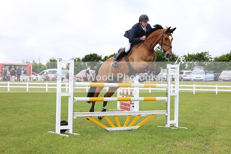 3E7A7048 - Class 12: Senior Foxhunter/1.20 open