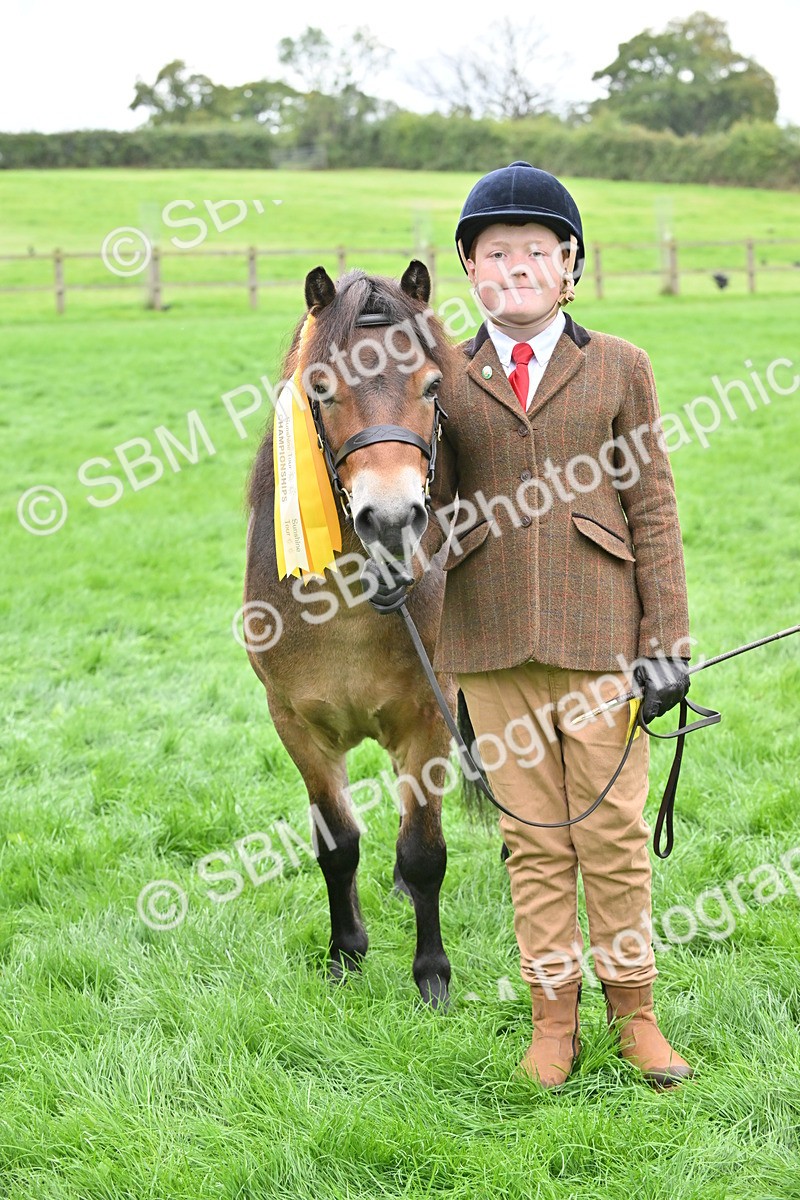 SBM_61050 - S48 - Mountain & Moorland In Hand Small Breeds