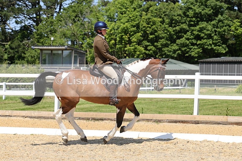 1X9A1841 - Class 12: Ridden Riding Horse/Hack
