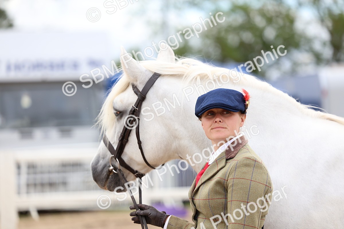 SBM_05915 - Class 29 - IH Veteran Pony