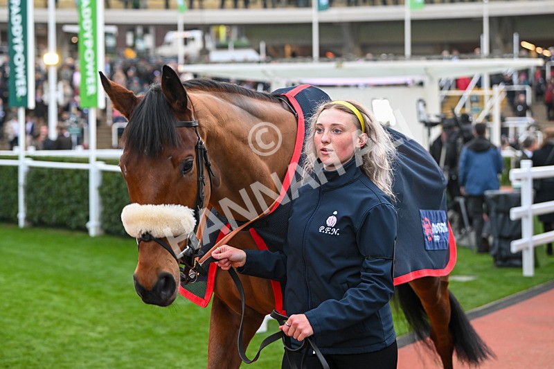 161124-Race 6-Paddock-Fire Flyer-1133 - Race 6