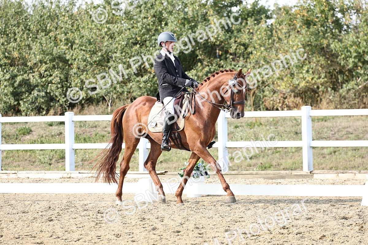 SBM_015373 - Class 9 - Advanced medium 3