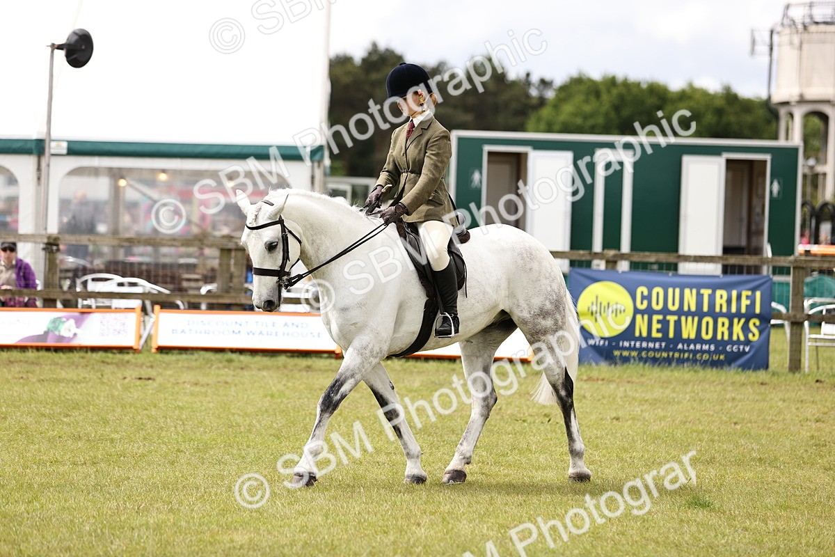 SBM_14587 - Class 88-89 - LIHS BSHA Rising Star of Ridden Hunter Type