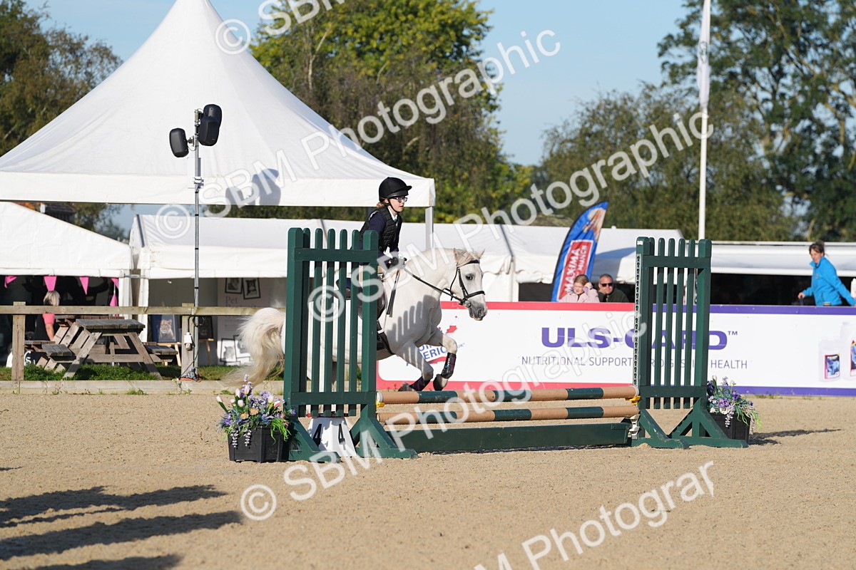 SBM_34373 - J62 - Clear Round 50cm