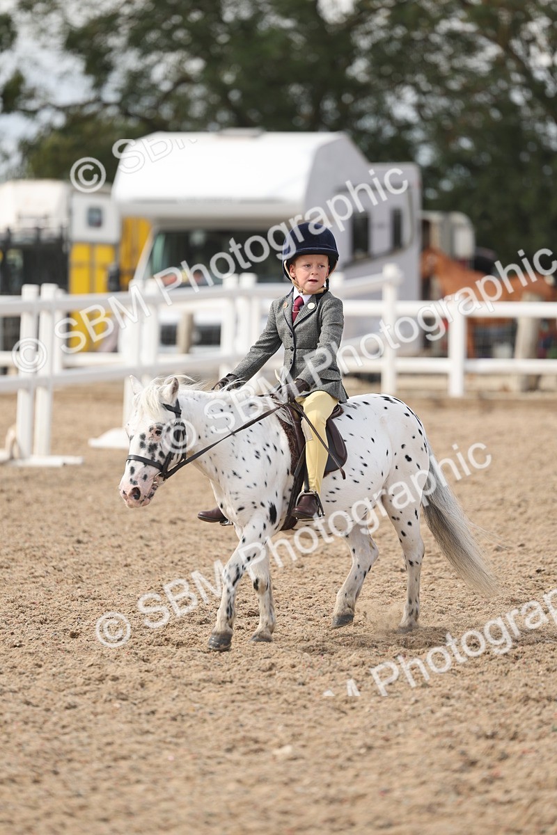 SBM_15888 - Class 310 - First Ridden Pony