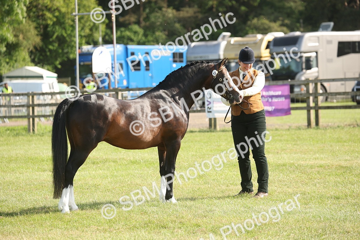 SBM_10350 - Class 33-38 - SSADL RIHS Qualifiers
