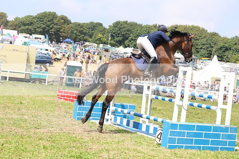 3E7A3396 - Class 10: Senior Foxhunter/1.20 open
