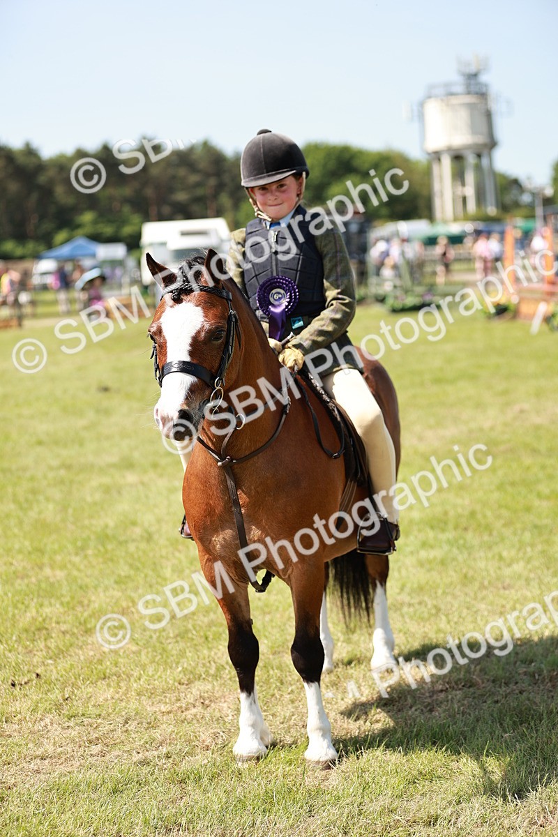 SBM_13668 - Class 108-109 - BSPS LIHS Open Gradle & Nursery Stakes