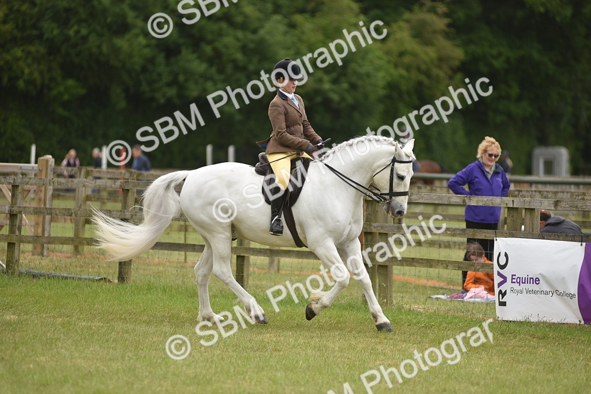 SBM_12005 - Class 110-112 - LIHS BSPS Performance Pones