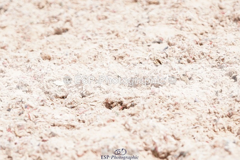 250622-104658-13403 - Cls 52 FreeStyle Elementary Inc Presentations