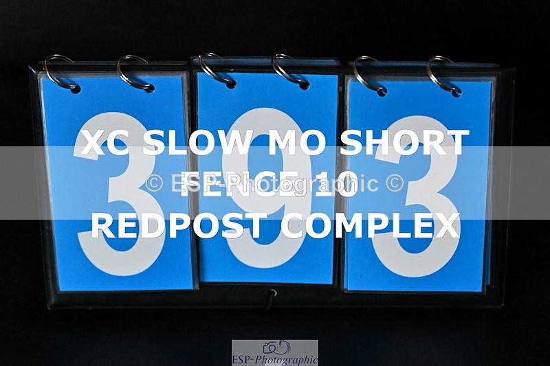 ESP_393 - E-393-Saskia.Rioux