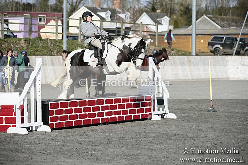 BVRC SJ 170319 86 - Bourne Valley Riding Club Showjumping 17/03/19