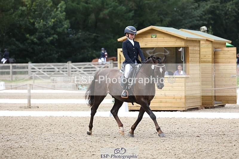 230812-103644-03278 - Cls 5 Novice Bronze Start to 10.55 break