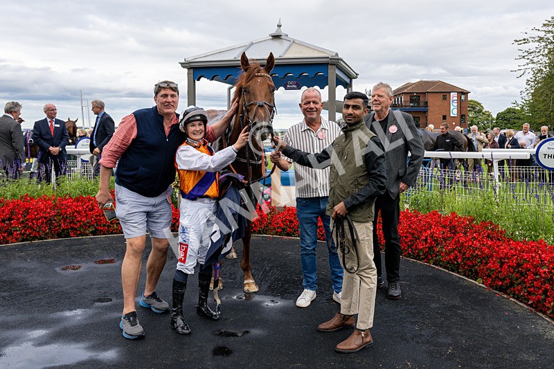 160926-Race 5-Call To Action-4061 - Race 5 4.18pm We Are Christmas Party Central Handicap