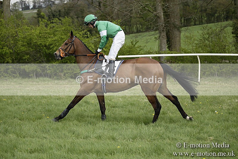 PtP 170417 141 - Old Berks Point-to-Point Lockinge 17/04/17