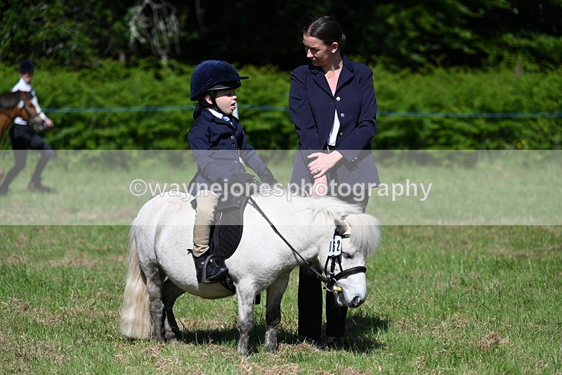 WJ7_0631 - Class 8 First Rally Pony